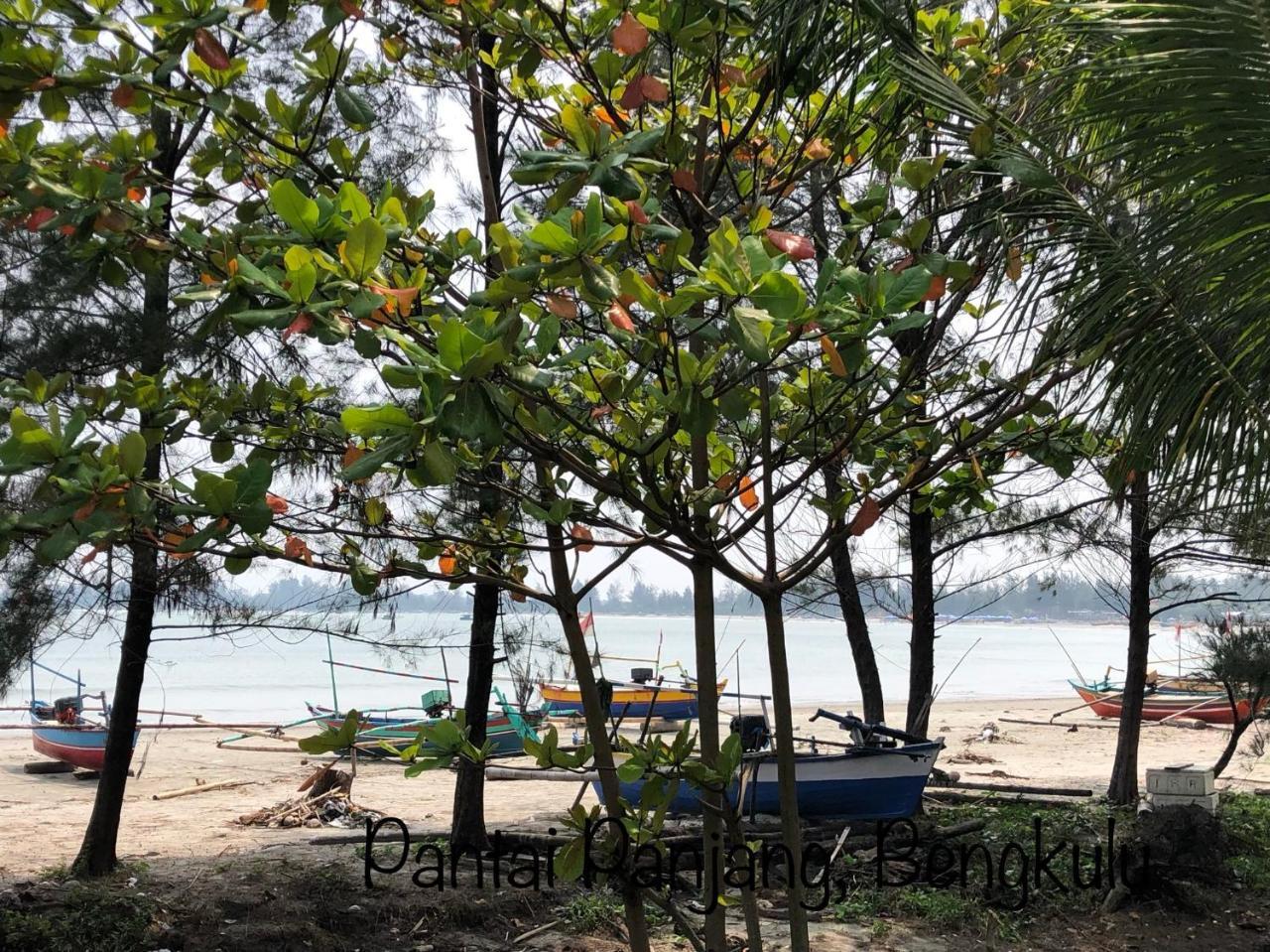 Sinar Sport Hotel Bengkulu Exteriör bild